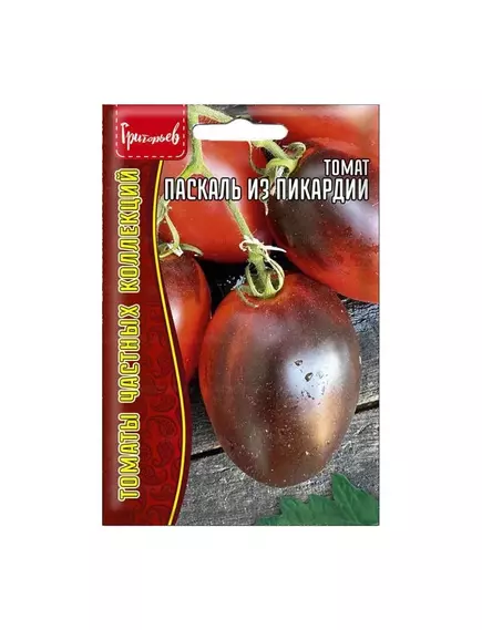 Томат Паскаль из Пикардии 10 шт РЕДКИЕ СЕМЕНА
