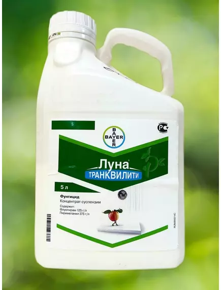 Луна Транквилити КС