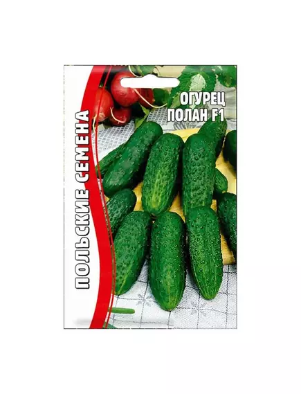 Огурец Полан 10 шт РЕДКИЕ СЕМЕНА