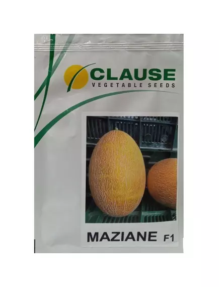 Дыня Мазиан 1000 шт CLAUSE ФРАНЦИЯ