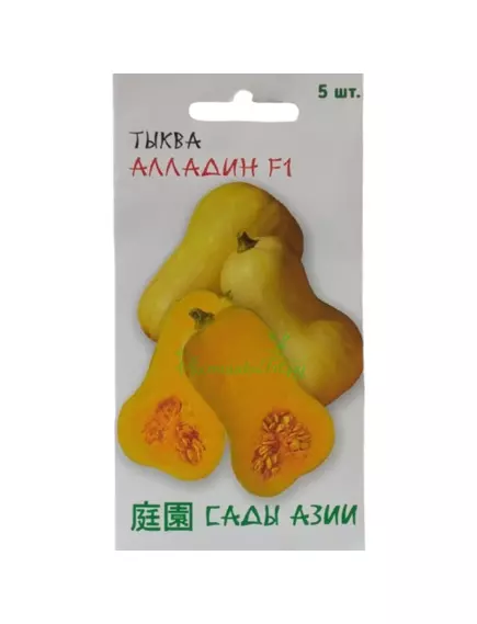 Тыква Алладин F1 5 шт Сады Азии