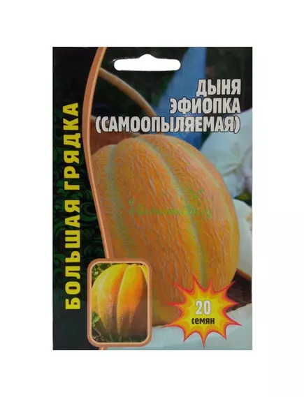 Дыня  Эфиопка самоопыляемая 20 шт РЕДКИЕ СЕМЕНА