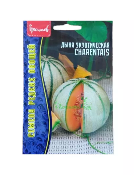 Дыня экзотическая CHARENTAIS 15 шт РЕДКИЕ СЕМЕНА