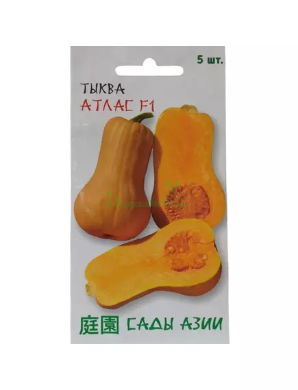 Тыква Атлас F1 5 шт Сады Азии
