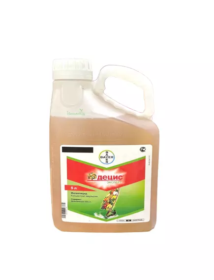 Децис Эксперт КЭ