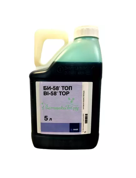 Би 58 ТОП