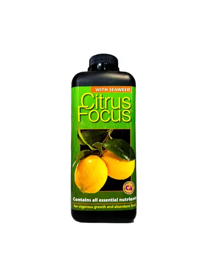 GT CITRUS FOCUS для цитрусовых
