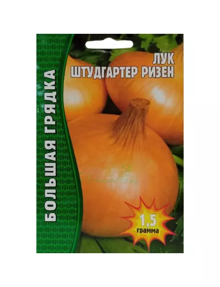 Лук репчатый Штудгартер Ризен 1,5 г РЕДКИЕ СЕМЕНА