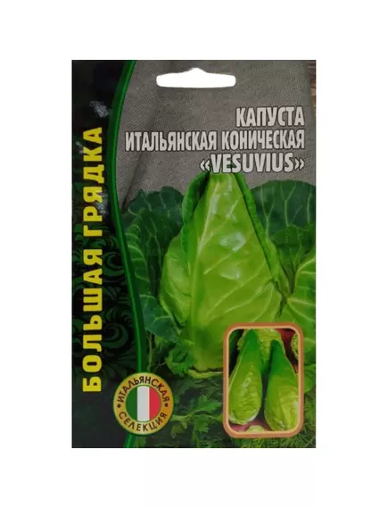 Капуста б/к Итальянская коническая VESUVIUS 0,2 г РЕДКИЕ СЕМЕНА