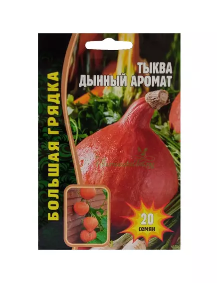 Тыква Дынный аромат 20 шт РЕДКИЕ СЕМЕНА