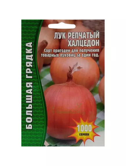 Лук репчатый Халцедон 1000 шт РЕДКИЕ СЕМЕНА