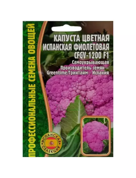 Капуста цветная Испанская фиолетовая CFGV-1200 10 шт РЕДКИЕ СЕМЕНА
