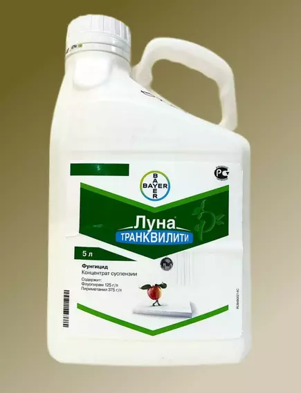 Луна Транквилити КС