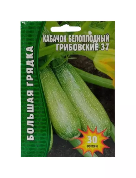 Кабачок белоплодный Грибовские 37  30 шт РЕДКИЕ СЕМЕНА