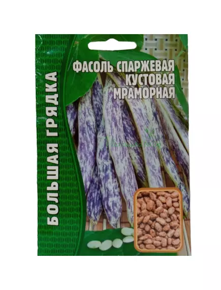 Фасоль спаржевая кустовая Мраморная 25 шт РЕДКИЕ СЕМЕНА