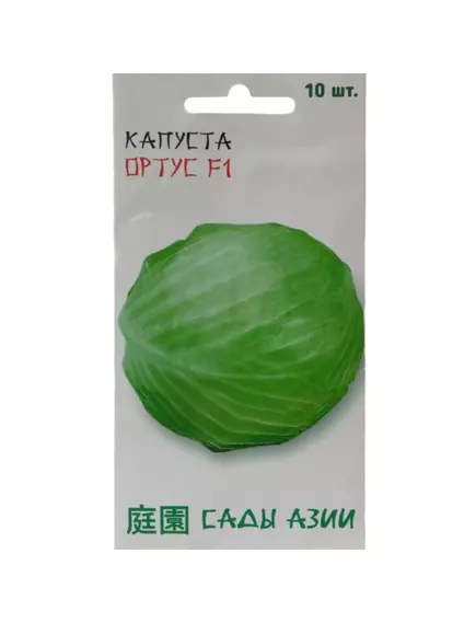 Капуста б/к Ортус F1 10 шт Сады Азии