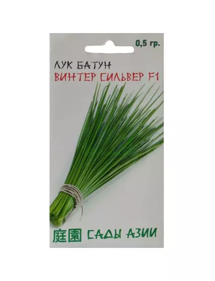 Лук батун Винтер Сильвер F1 0,5 г Сады Азии
