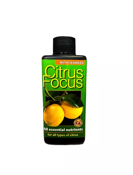GT CITRUS FOCUS для цитрусовых