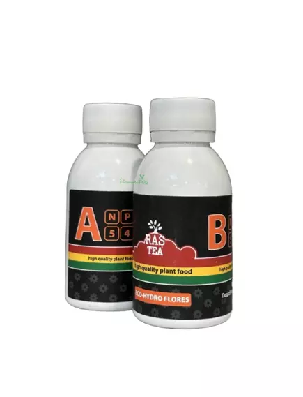 RASTEA ECO-HYDRO FLORES A/B 100 мл