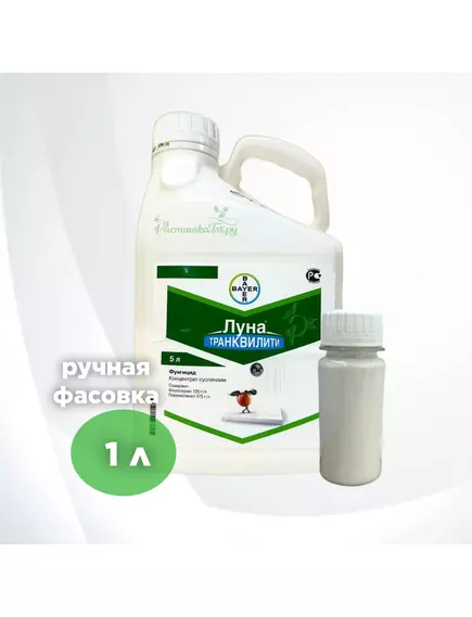 Луна Транквилити КС