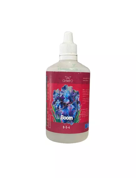 GROBRO SERIOUS BOOM На весь цикл