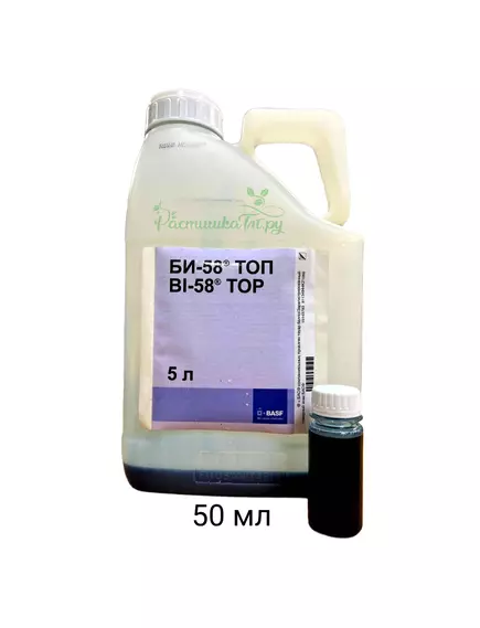 Би 58 ТОП