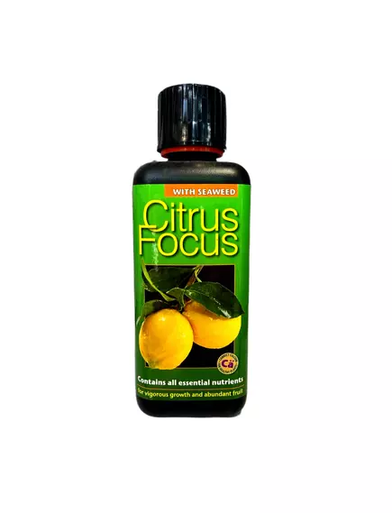 GT CITRUS FOCUS для цитрусовых