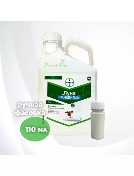 Луна Транквилити КС