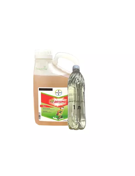 Децис Эксперт КЭ