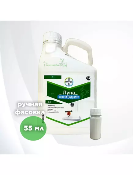 Луна Транквилити КС