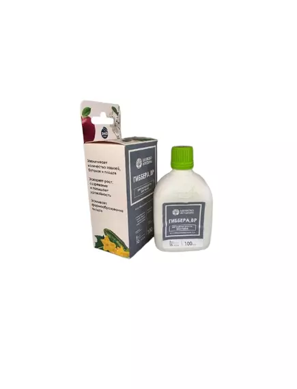 ЩА Гиббера ВР