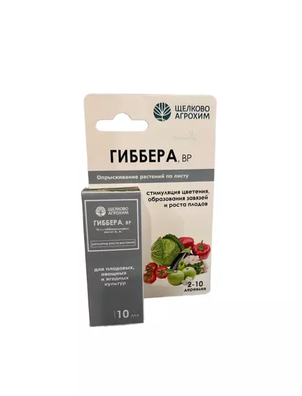 ЩА Гиббера ВР