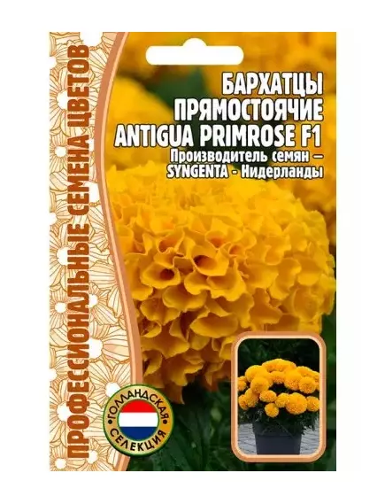 Бархатцы прямостоячие ANTIGUA PRIMROSE F1 5 шт РЕДКИЕ СЕМЕНА