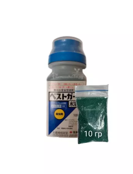 BEST GUARD Бест Гуард Япония