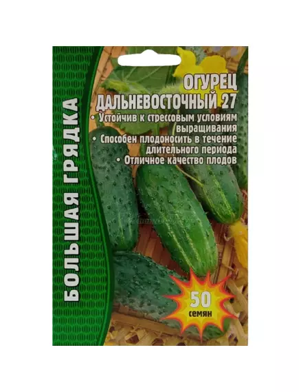 Огурец Дальневосточный 27 50 шт РЕДКИЕ СЕМЕНА
