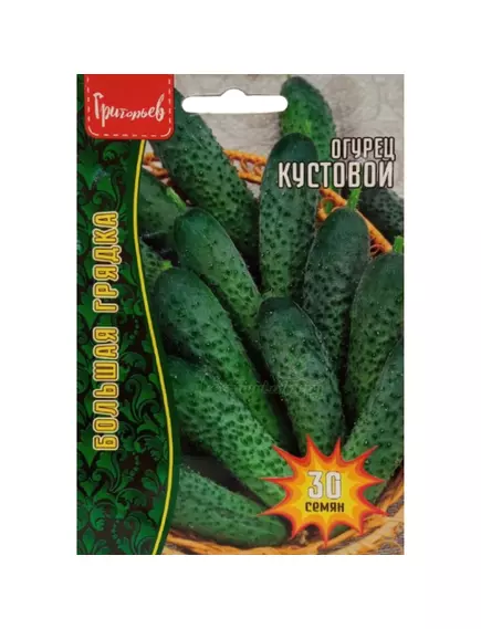 Огурец Кустовой 30 шт РЕДКИЕ СЕМЕНА