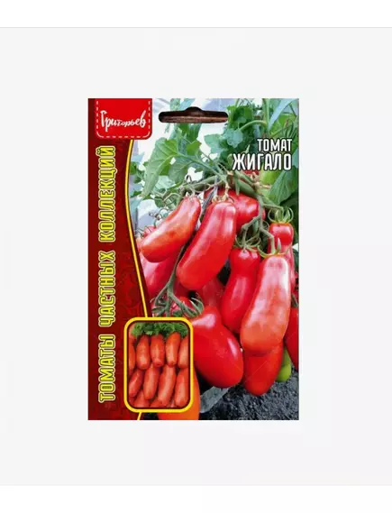 Томат Жигало 10 шт РЕДКИЕ СЕМЕНА