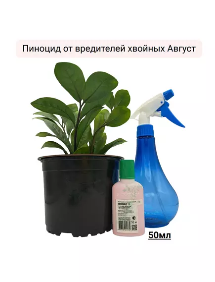 Пиноцид от вредителей хвойных Август