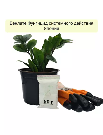 Бенлате Фунгицид системного действия Япония