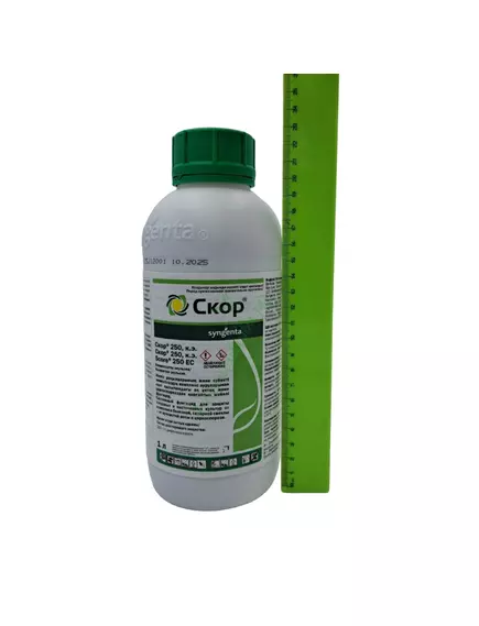 Скор КЭ Фунгицид