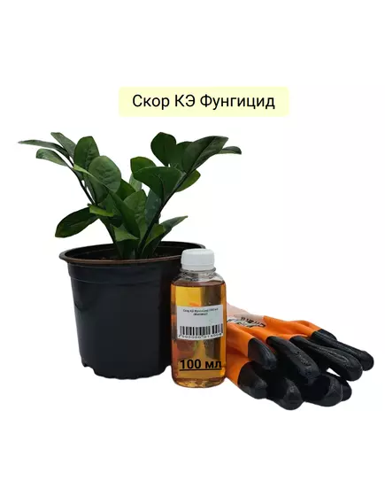 Скор КЭ Фунгицид