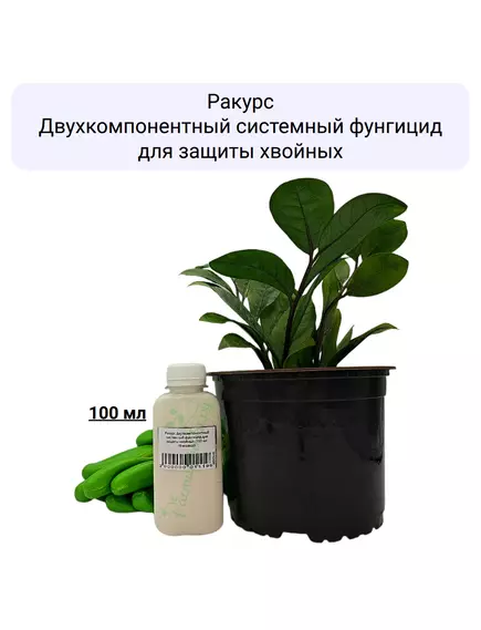 Ракурс Двухкомпонентный системный фунгицид для защиты хвойных