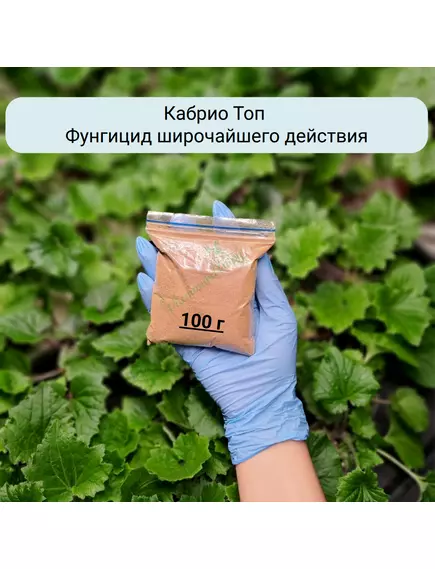Кабрио Топ Фунгицид широчайшего действия