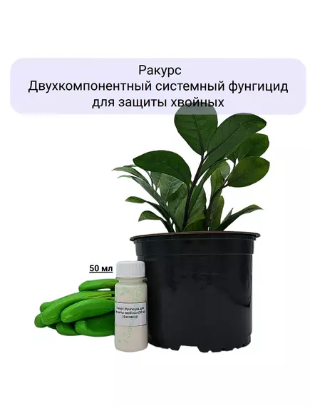 Ракурс Двухкомпонентный системный фунгицид для защиты хвойных