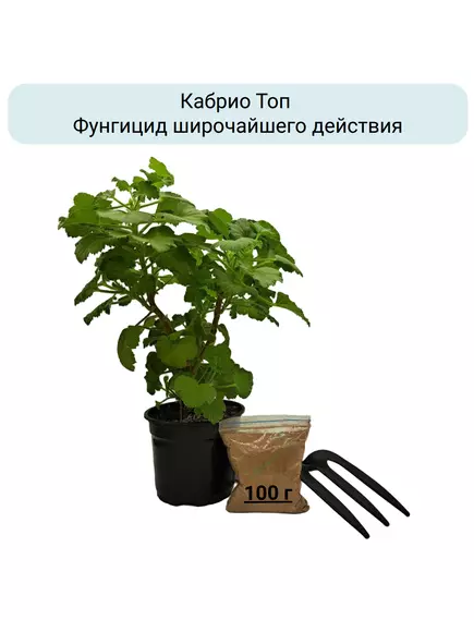 Кабрио Топ Фунгицид широчайшего действия