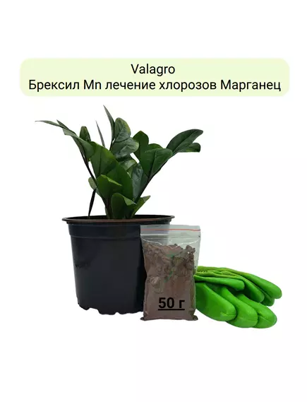 VALAGRO Брексил MN лечение хлорозов Марганец