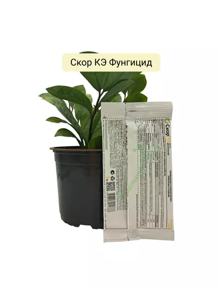 Скор КЭ Фунгицид