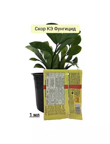 Скор ВХ 1 мл