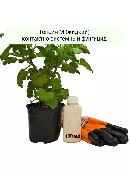 Топсин М (жидкий) контактно системный фунгицид