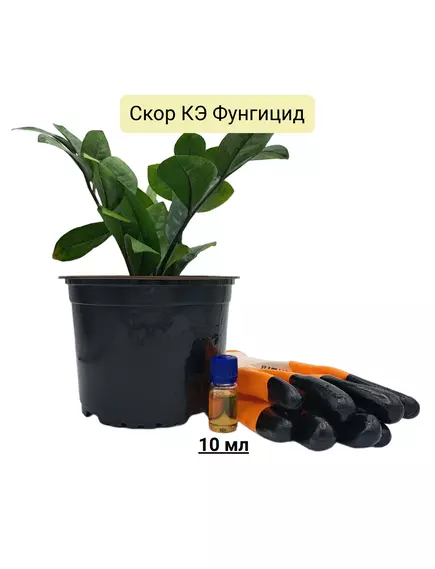 Скор КЭ Фунгицид